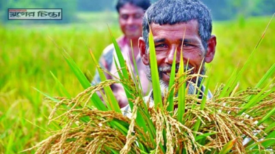 কৃষক