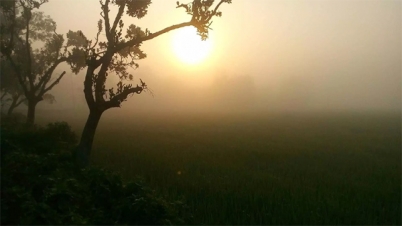 প্রকৃতিতে এখন শীতের আগমনী বার্তা