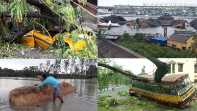 সুপার সাইক্লোনের তাণ্ডবে পশ্চিমবঙ্গে ৭২ জনের মৃত্যু