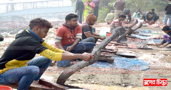 মাছ কাটা পেশায় জীবিকা নির্বাহ করছে শতাধিক বটি ওয়ালা