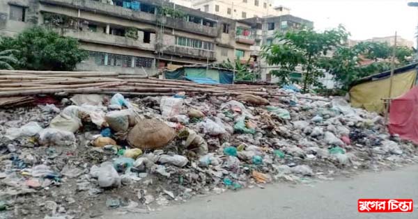 ময়লা আবর্জনার দুর্গন্ধে অতিষ্ঠ গলাচিপা এলাকাবাসী