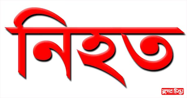 মোটরসাইকেলের ধাক্কায় ট্রাকচালক নিহত