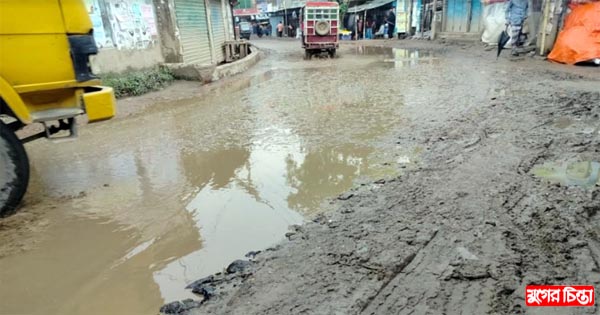 কুতুবপুর দেলপাড়া সড়কের বেহালদশা