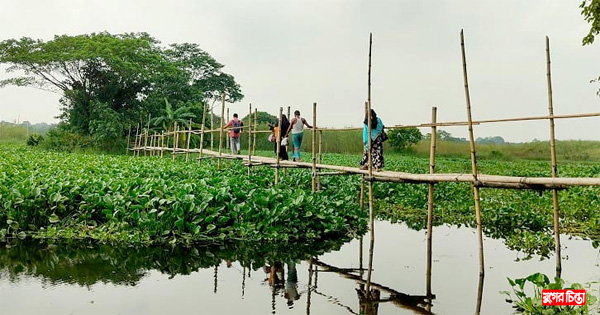 সোনারগাঁয়ে পাঁচ টাকার সাঁকোই ভরসা ২০ গ্রামের