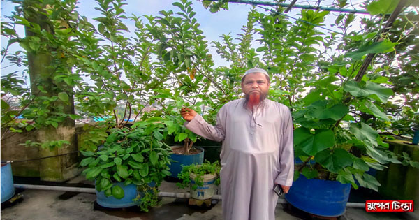 পরিবারের পুষ্টির যোগান দিচ্ছে আব্দুল জলিলের শখের ছাদবাগান